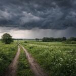 Dlaczego zapach deszczu jest wyczuwalny jeszcze zanim zacznie padać