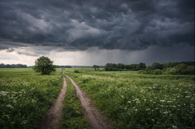 Dlaczego zapach deszczu jest wyczuwalny jeszcze zanim zacznie padać